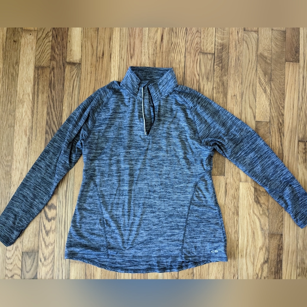 Big & Tall Champion pullover
